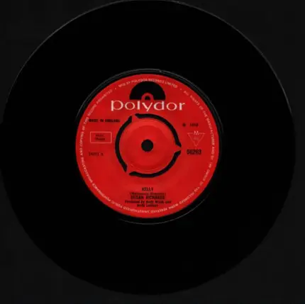 Susan Richards - Kelly / Counting The Teardrops