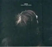 Susanna - Sonata Mix Dwarf Cosmos