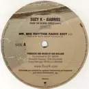 12'' - Suzy K - Gabriel