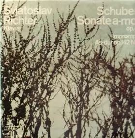 Svatoslav Richter - Schubert Sonate a-moll op.42