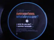 10'' - Sven Van Hees - What Do You See?