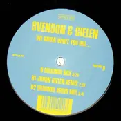 Svenson + Gielen - We Know What You Did...