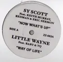12inch Vinyl Single - Sy Scott Feat. Keith Murray , Redman & Erick Sermon / Lil Wayne Feat. Baby & TQ / Famil Feat Mr. Ch - Now What's Up / Way Of Life / Finer Things