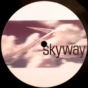 12inch Vinyl Single - Symetrics - Life Goes On