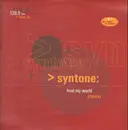 12inch Vinyl Single - Syntone - Heal My World (The Remixes)