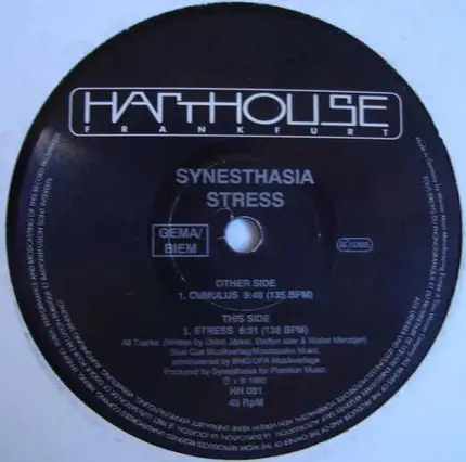 Synesthasia - Stress