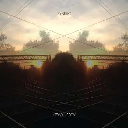 SYNKRO - ACCEPTANCE -EP-