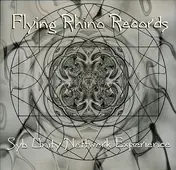 Syb Unity Nettwerk - The Space Puppy