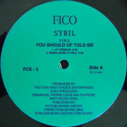 Sybil - You Should Of Told Me