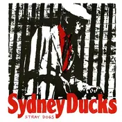 Sydney Ducks - Stray Dogs