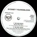 12inch Vinyl Single - Sydney Youngblood - No Big Deal - Promo