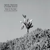 Sylvain Chauveau & Ensemble Nocturne - Down To The Bone (tribute To Depech