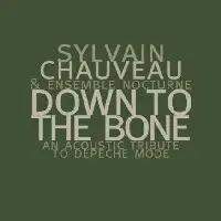 Sylvain Chauveau & Ensemble Nocturne - Down To The Bone (An Acoustic Tribute To Depeche Mode)