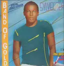 12inch Vinyl Single - Sylvester - Band Of Gold