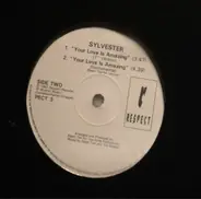 Sylvester - Your Love Is Amazing