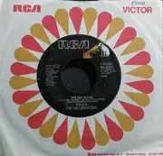7'' - Sylvia - The Matador / Cry Baby Cry