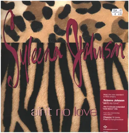 Syleena Johnson - Ain't No Love