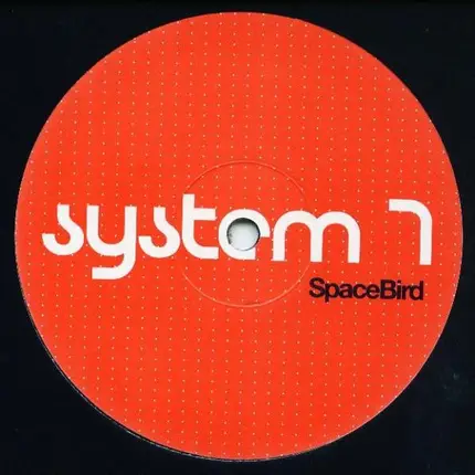 System 7 - Space Bird