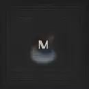 12inch Vinyl Single - Szare - Dust